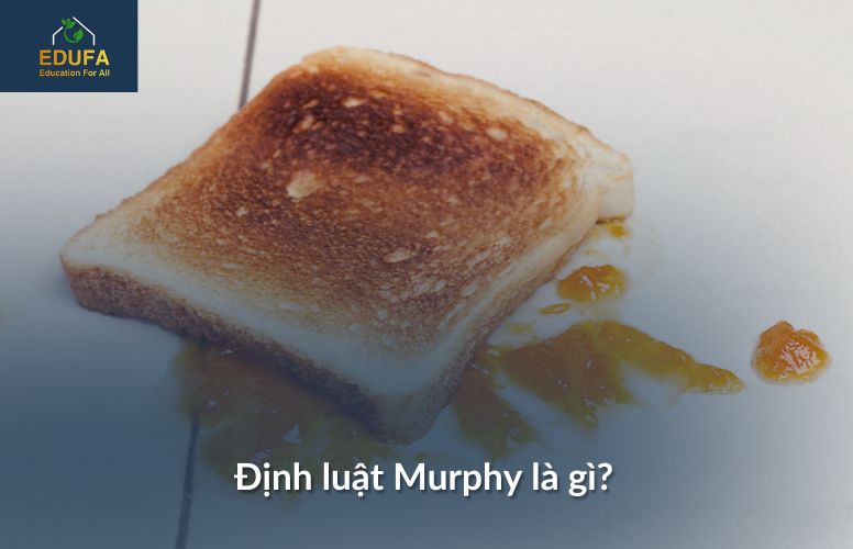 dinh-luat-murphy